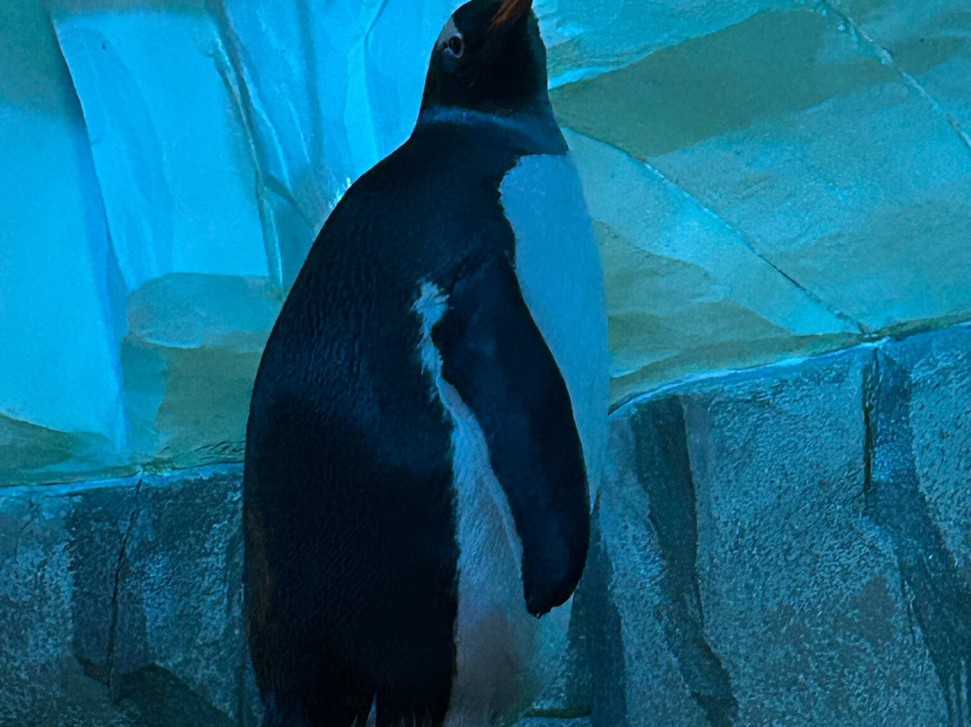 Tierpark Hagenbeck-汉堡必去景点