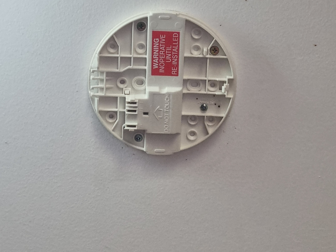 Susan River Homestead主图