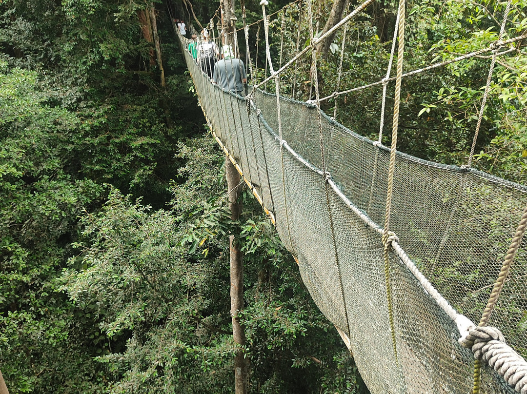天蓬走道-亚庇必去景点