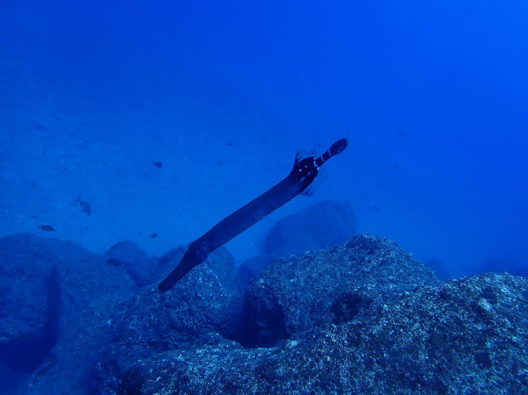 Wildiver-Radazul必去景点