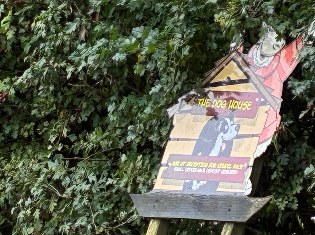 The Big Sheep.-比迪福德必去景点