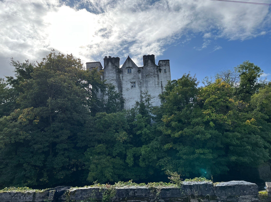 Donegal Castle-多尼戈尔城镇必去景点