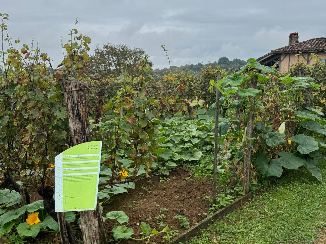 MUSEE DE LA CHALOSSE-Montfort-en-Chalosse必去景点