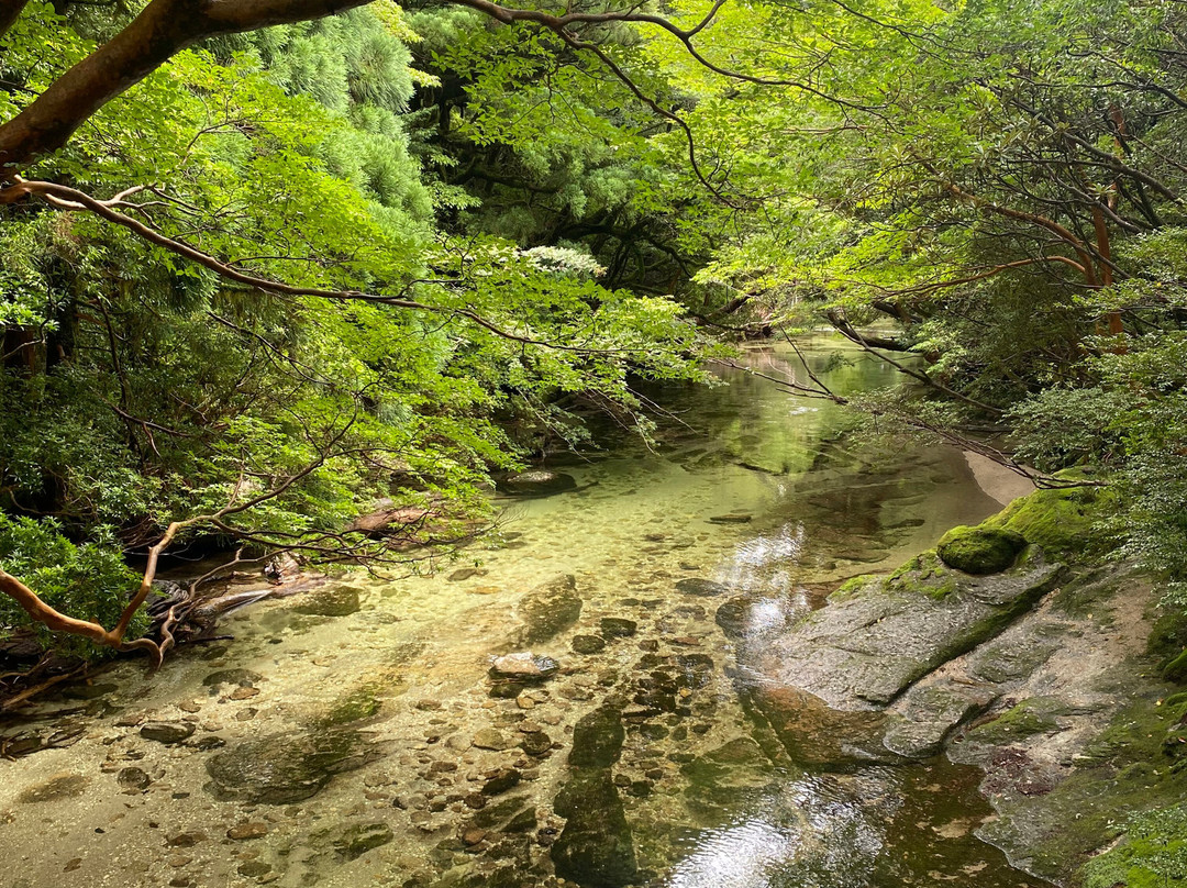 Yakushima Nature-屋久岛必去景点