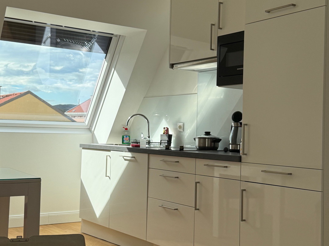 Steiner Residences