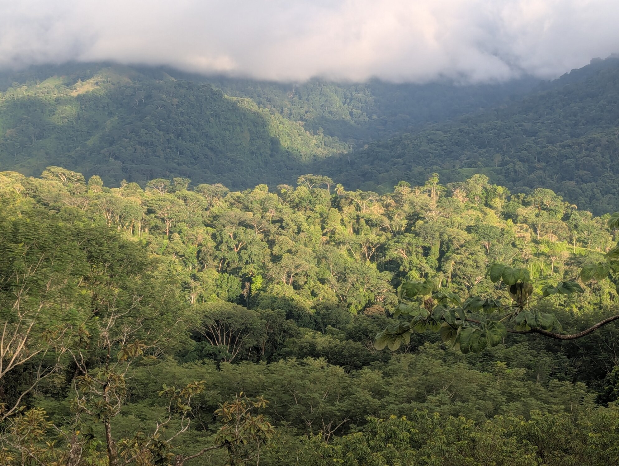 Natures Edge Boutique Hotel-酒店景观