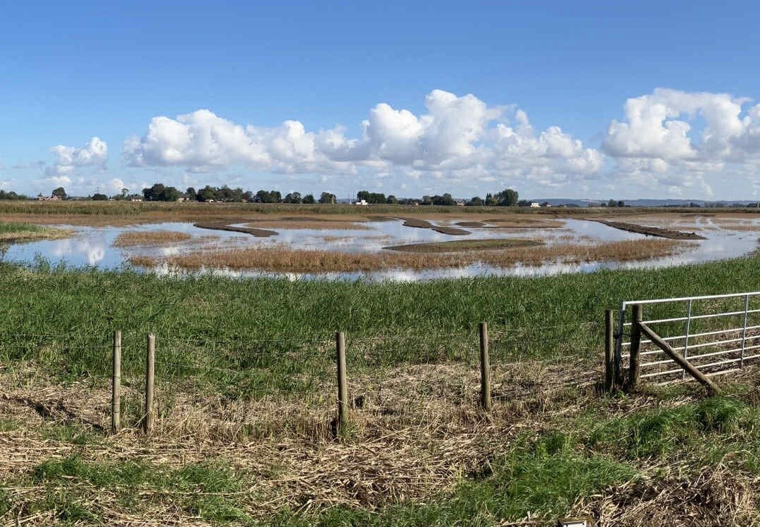 Blacktoft Sands-古尔必去景点