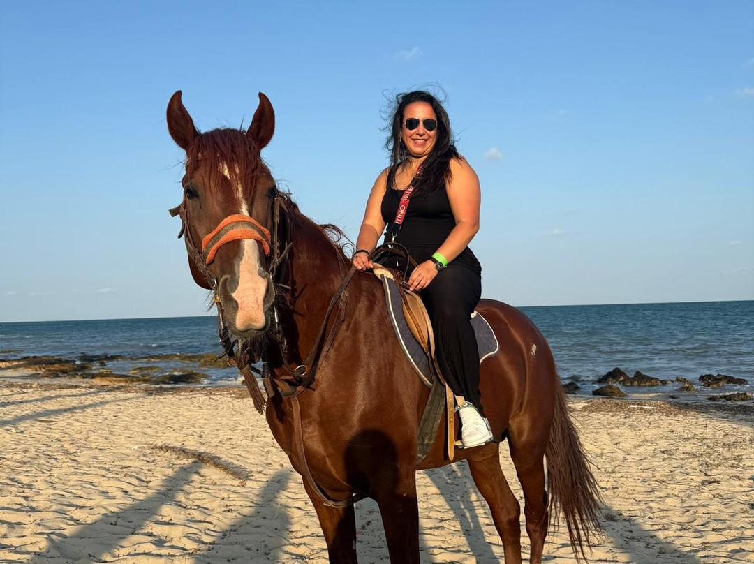 Nour Equestre Djerba-Djerba Midun必去景点