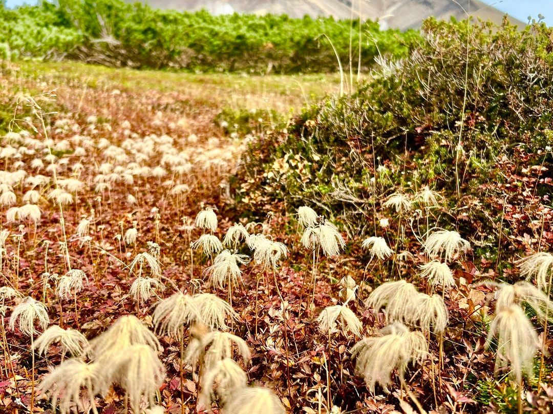 大雪山-上川町必去景点