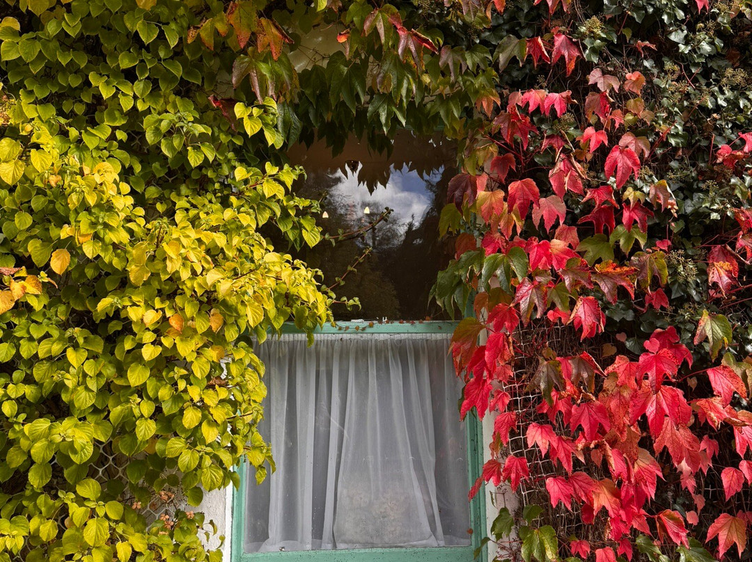 卡什尔小屋酒店主图