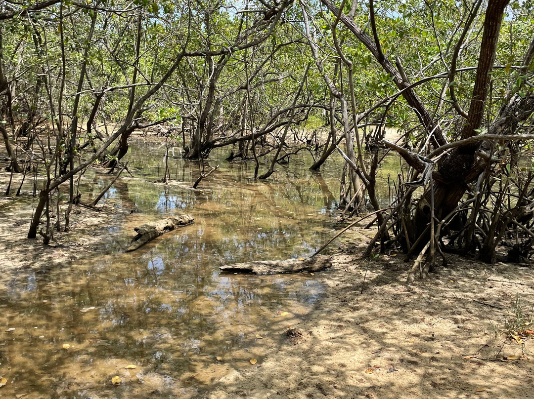 Pontal de Maracaipe-嘎林海斯港必去景点