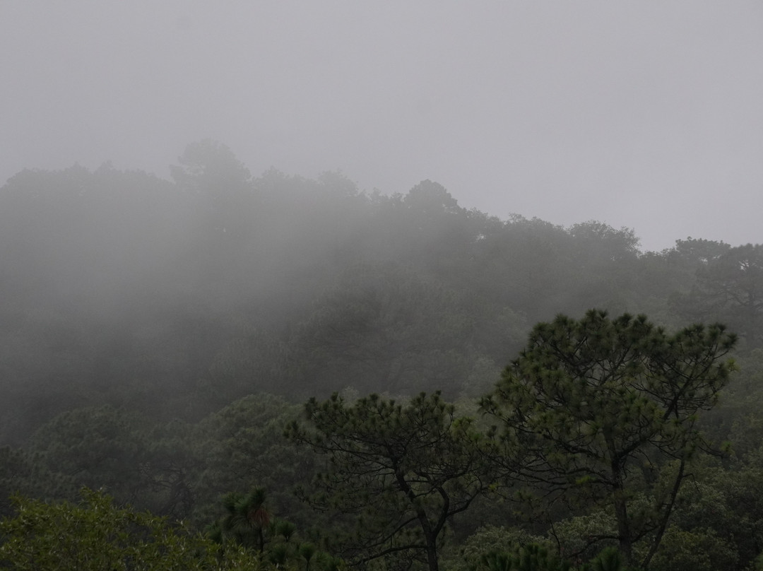 伊克罗杰克齐宾公园-圣佩德罗加尔萨加西亚镇必去景点