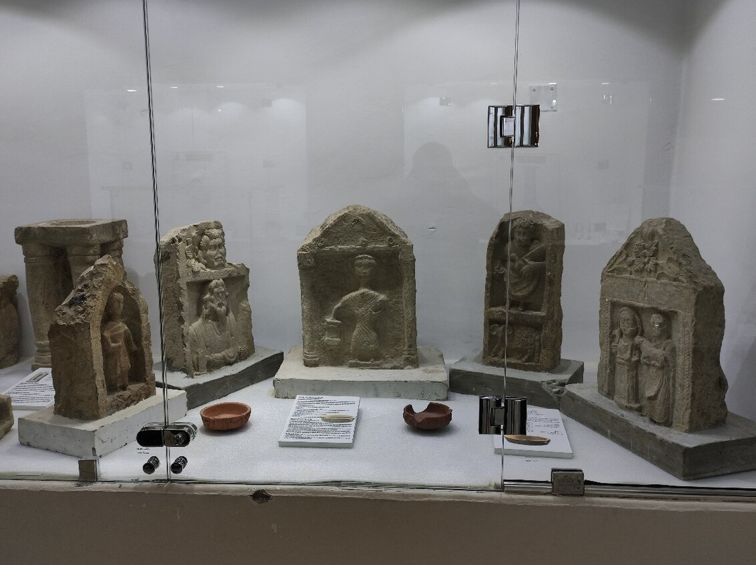 Setif Museum - Musée d'archéologie-Setif必去景点