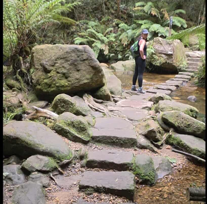 Grand Canyon Track-Blue Mountains National Park必去景点