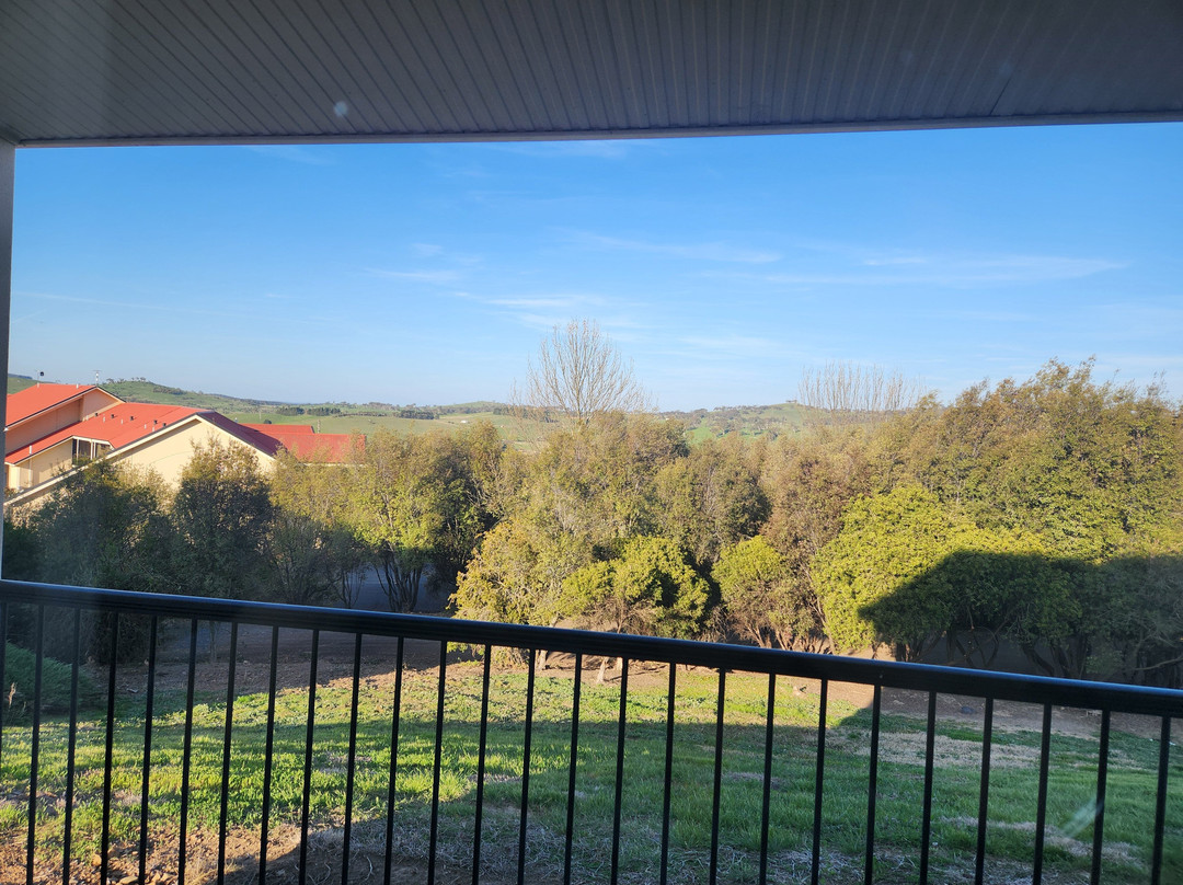 Turner's Vineyard主图