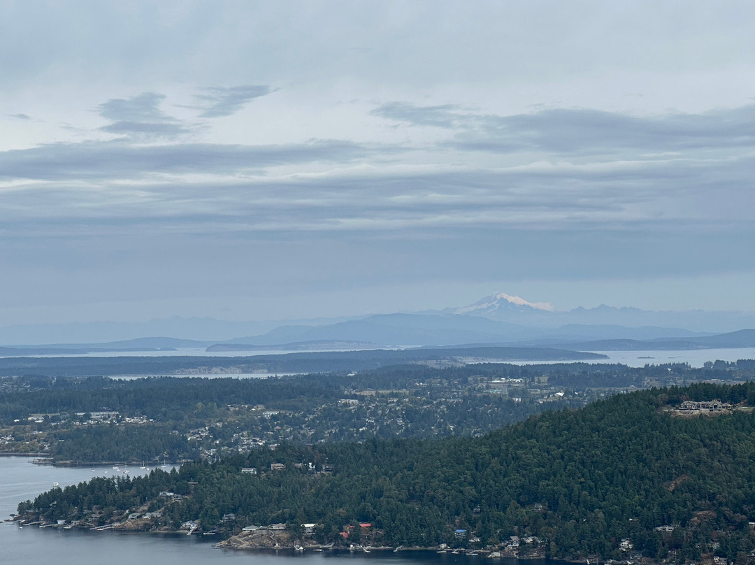 Malahat Skywalk-Malahat必去景点