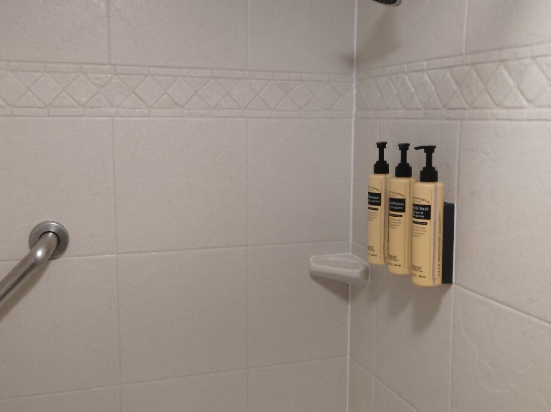 Best Western Plus Westbank主图