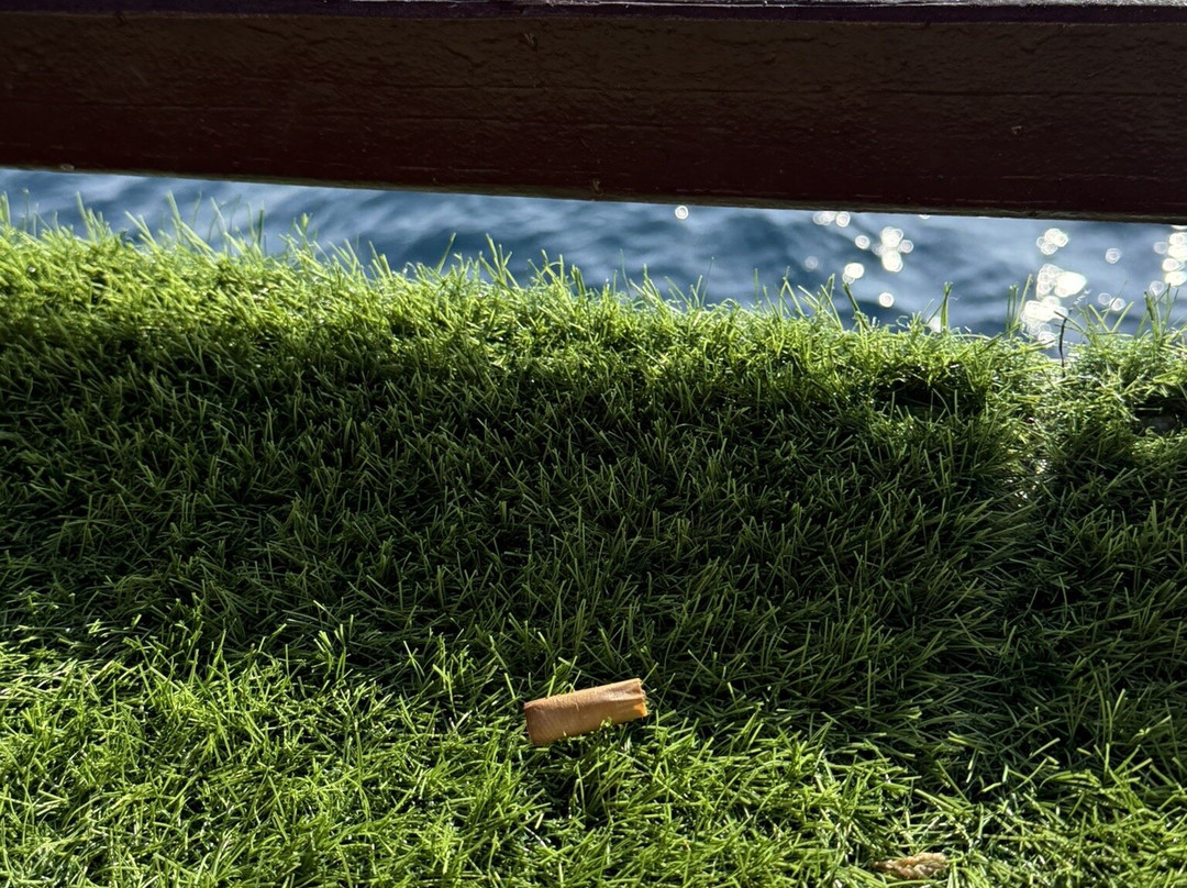 Rinjani Kingdom-Bayan必去景点