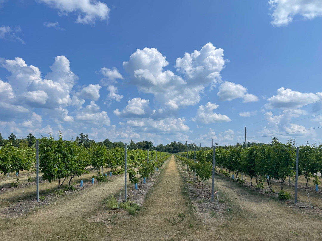 Richibucto River Wine Estate-Mundleville必去景点