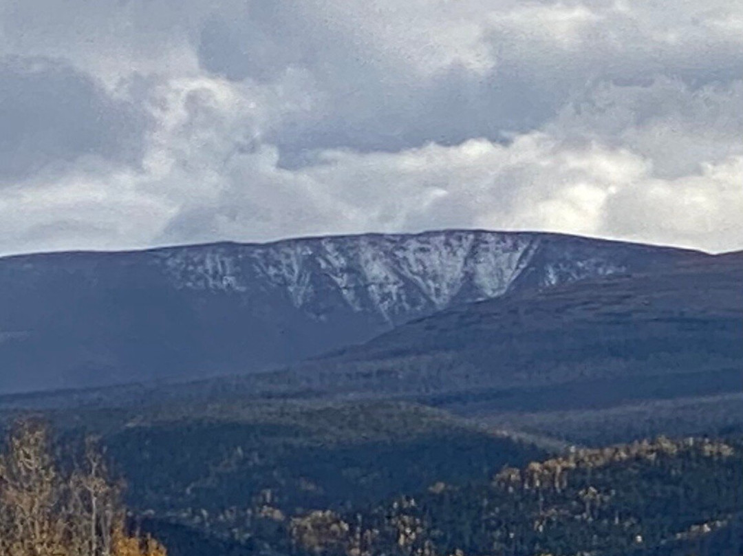 Wasatch-Cache National Forest-布莱敦必去景点