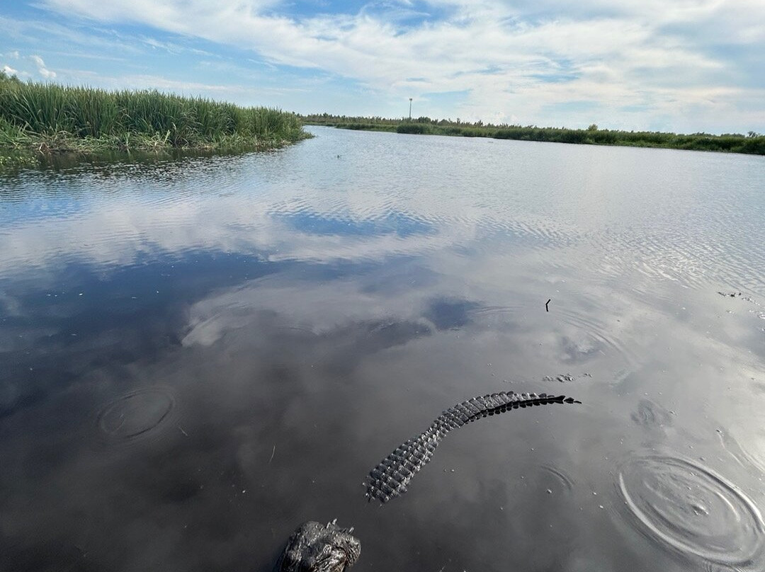 Ragin Cajun Airboat Tours-新奥尔良必去景点