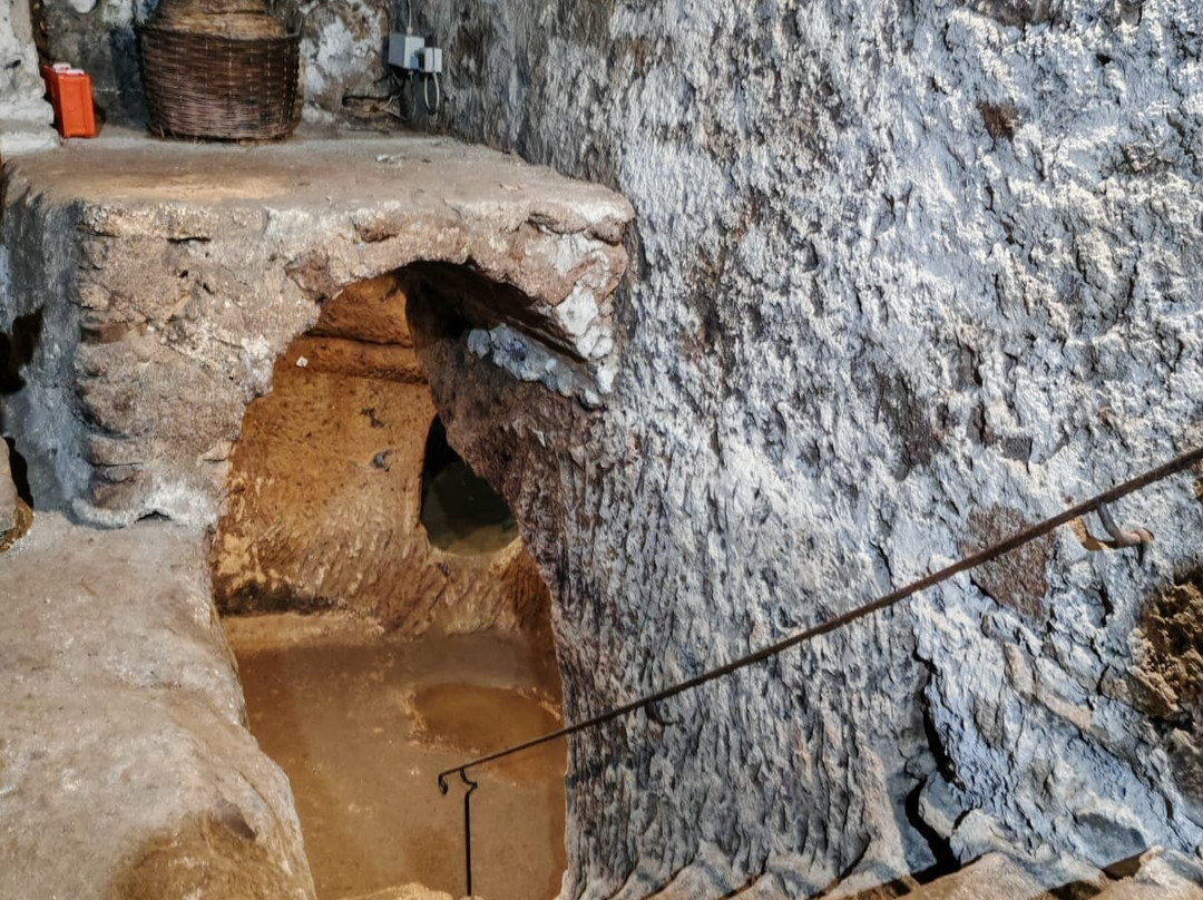 Orta & Oltre Guided Tours-奥尔塔圣朱利奥必去景点