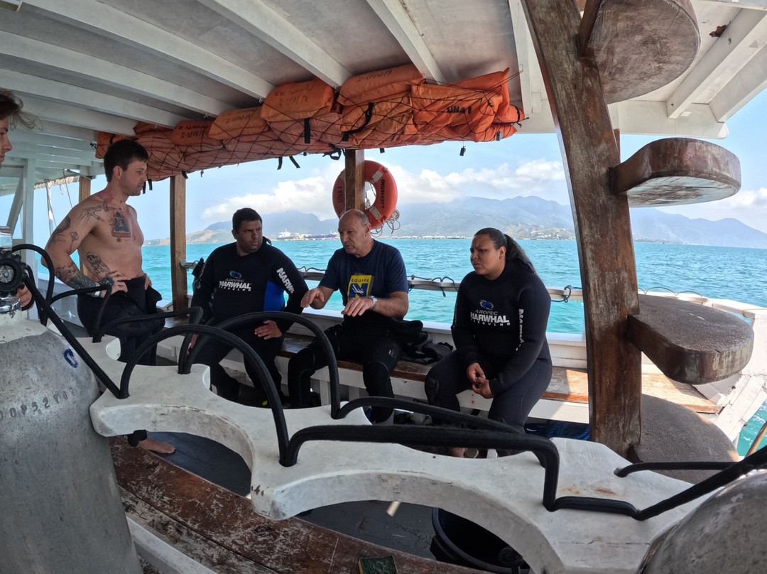 Narwhal-伊利亚贝拉必去景点