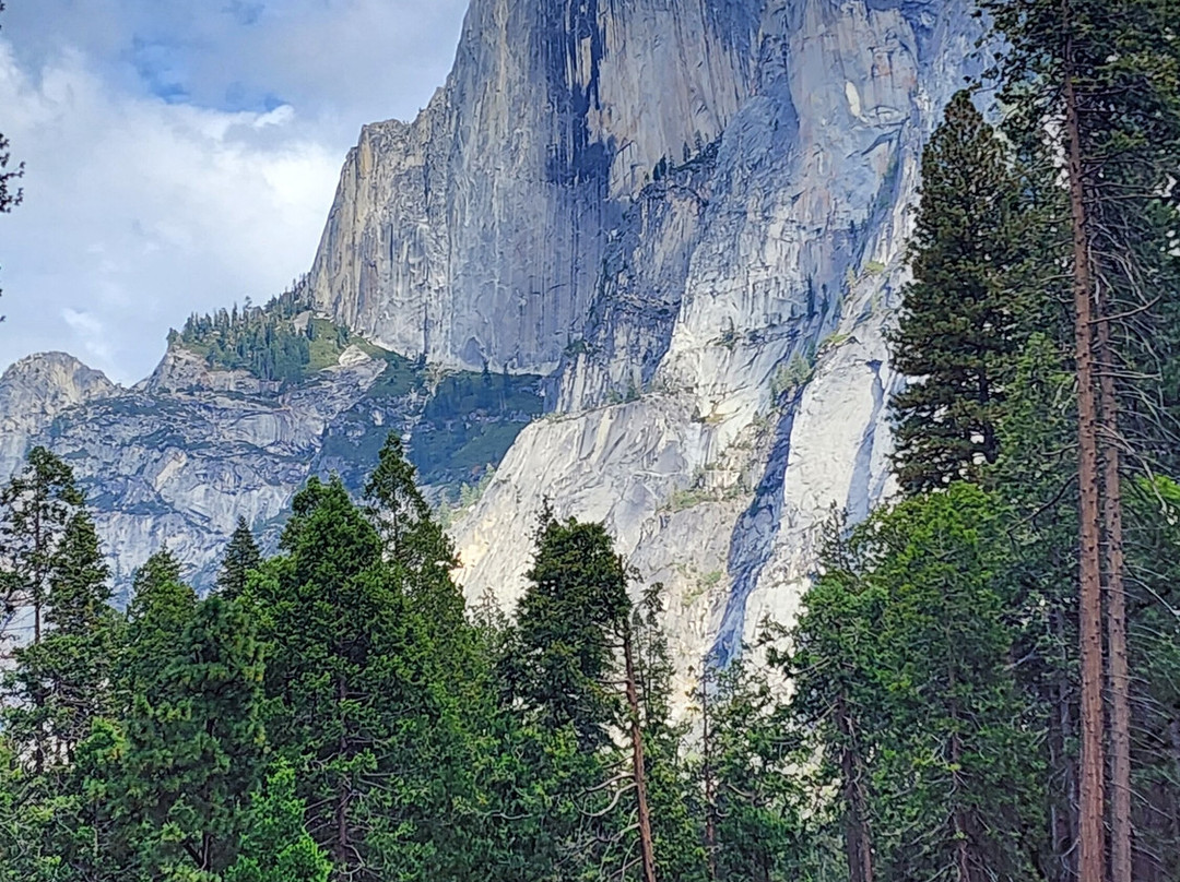 Yosemite Private Tours-Wawona必去景点
