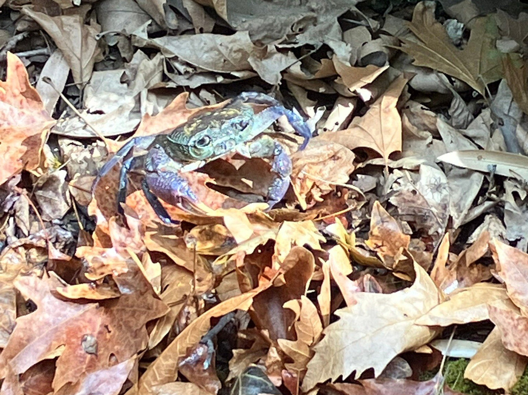 Butterflies Valley-Epano Kalamonas必去景点