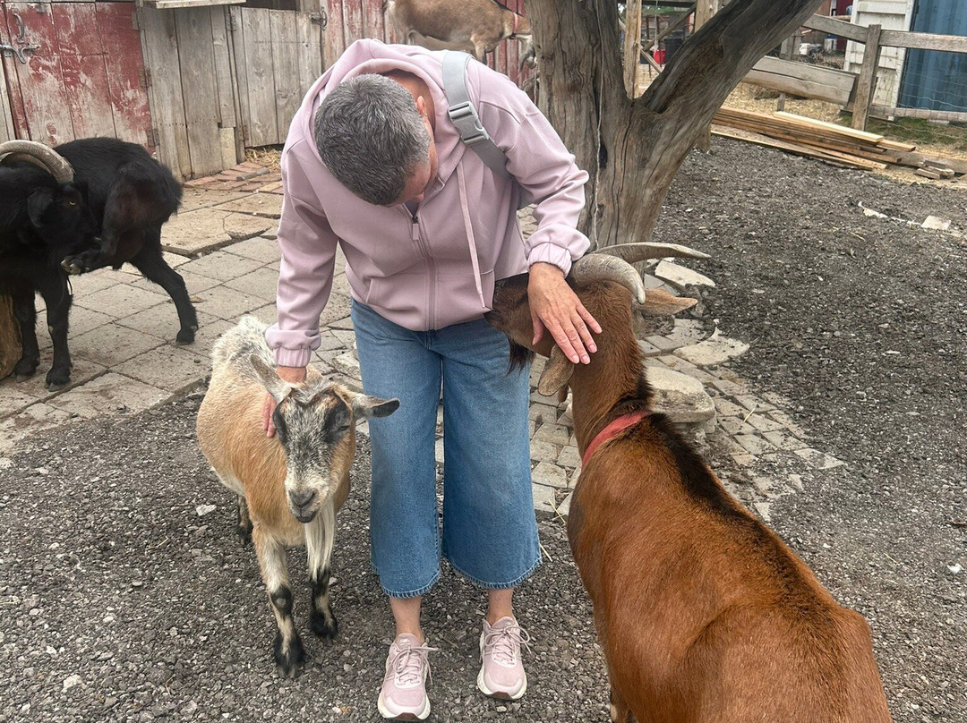 Triple C Farm-安卡斯特必去景点