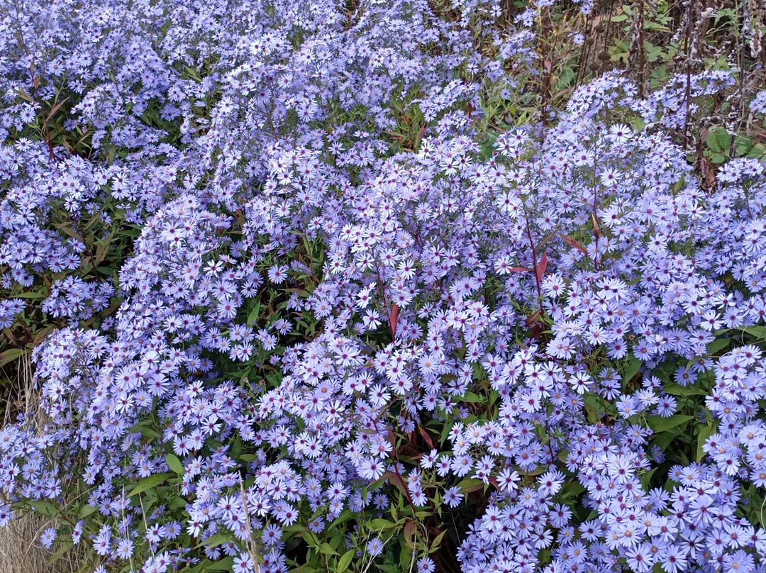 Aubourn Hall at Aubourn Estate-Aubourn必去景点