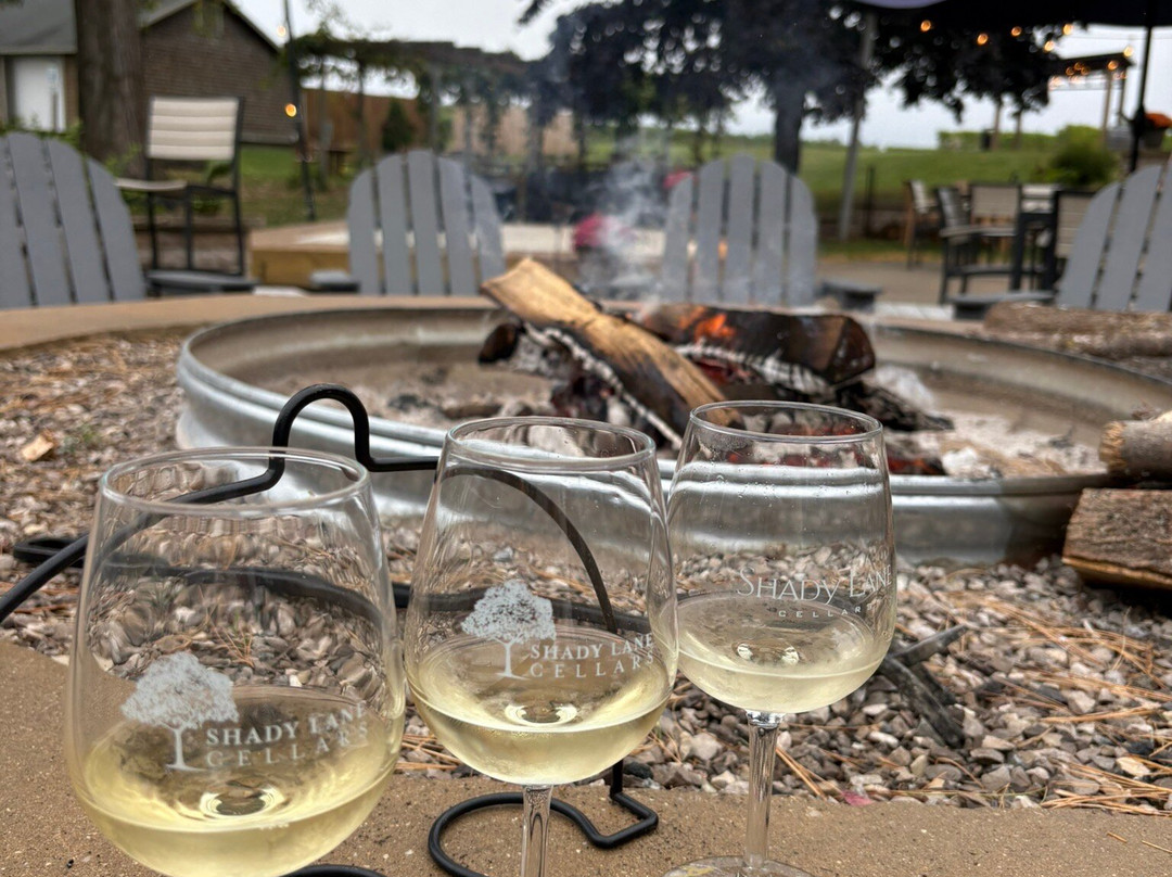 Shady Lane Cellars-Suttons Bay必去景点