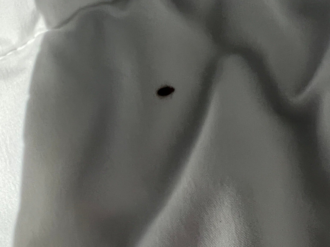 Ramada by Wyndham Downtown Spokane主图