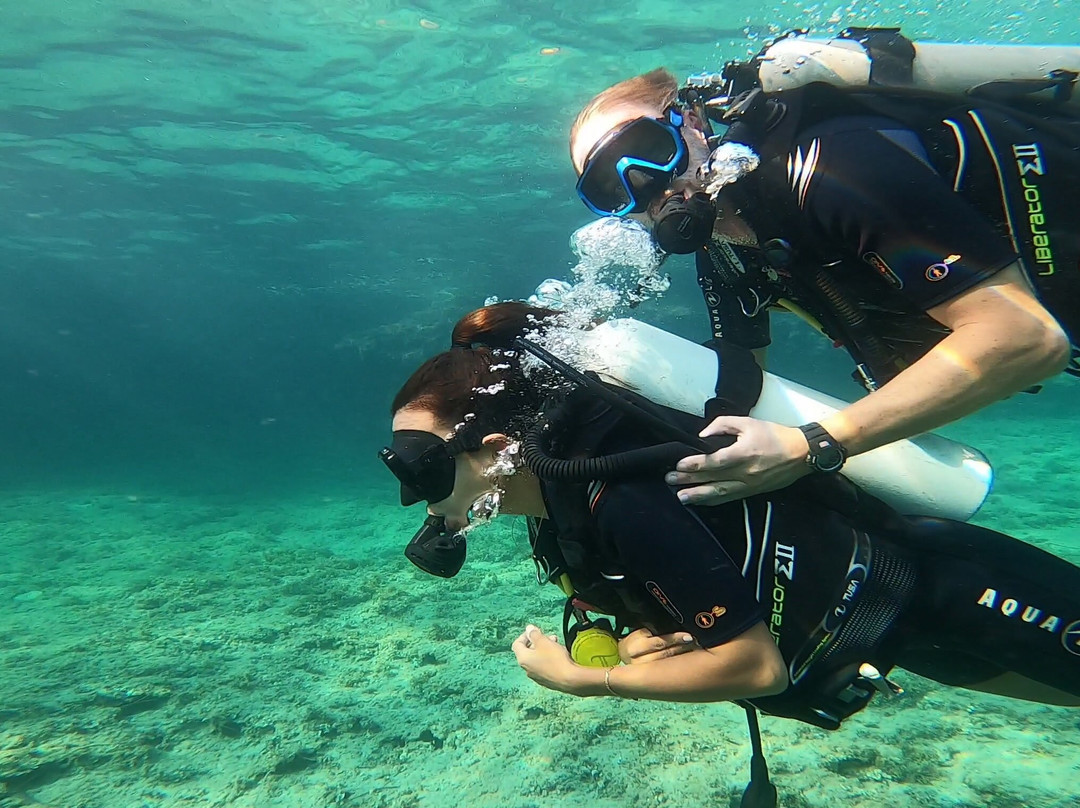 H2O Scuba Academy-Camp De Mar必去景点