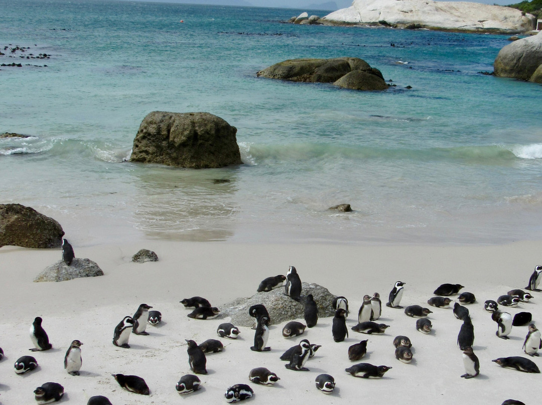 Grapes of Good Hope-开普敦必去景点