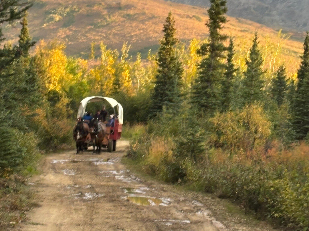 Denali Black Diamond Covered Wagon-Denali Park必去景点