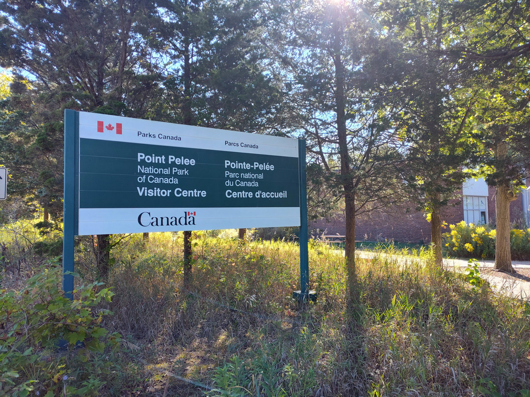 Point Pelee National Park-利明顿必去景点