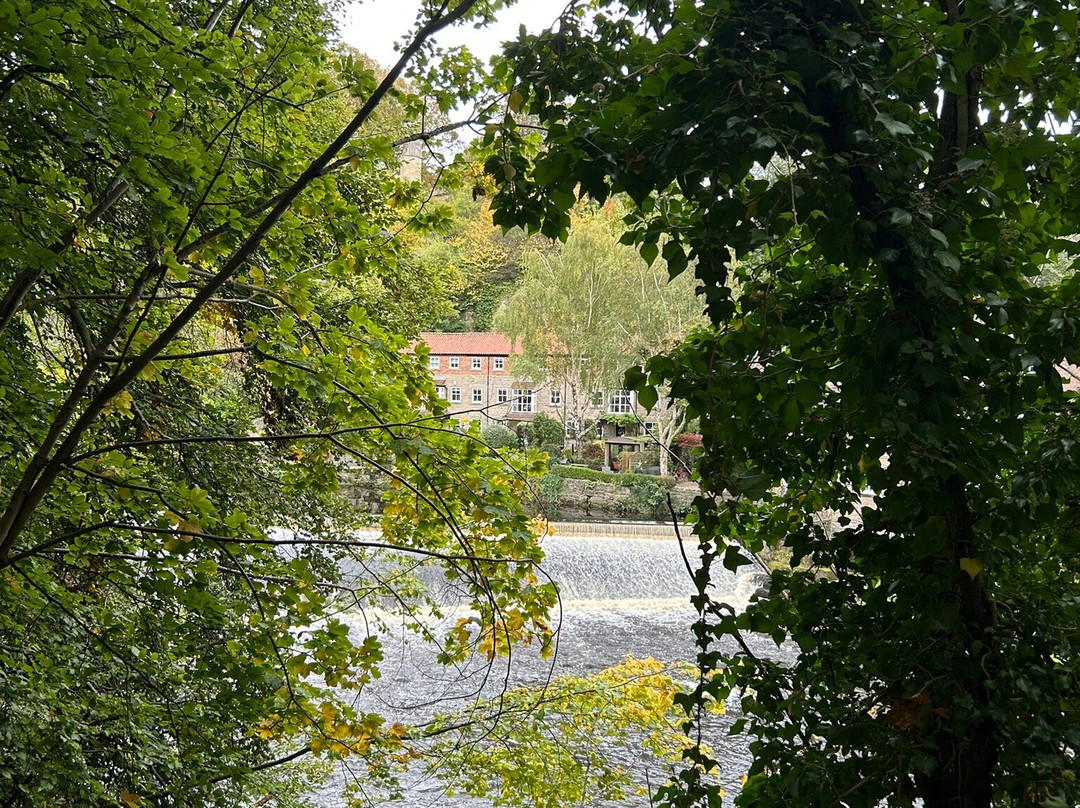 Mother Shipton's Cave-Knaresborough必去景点