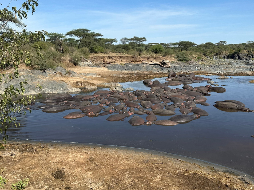 Muhi Tours And Safaris-Mbuzini必去景点