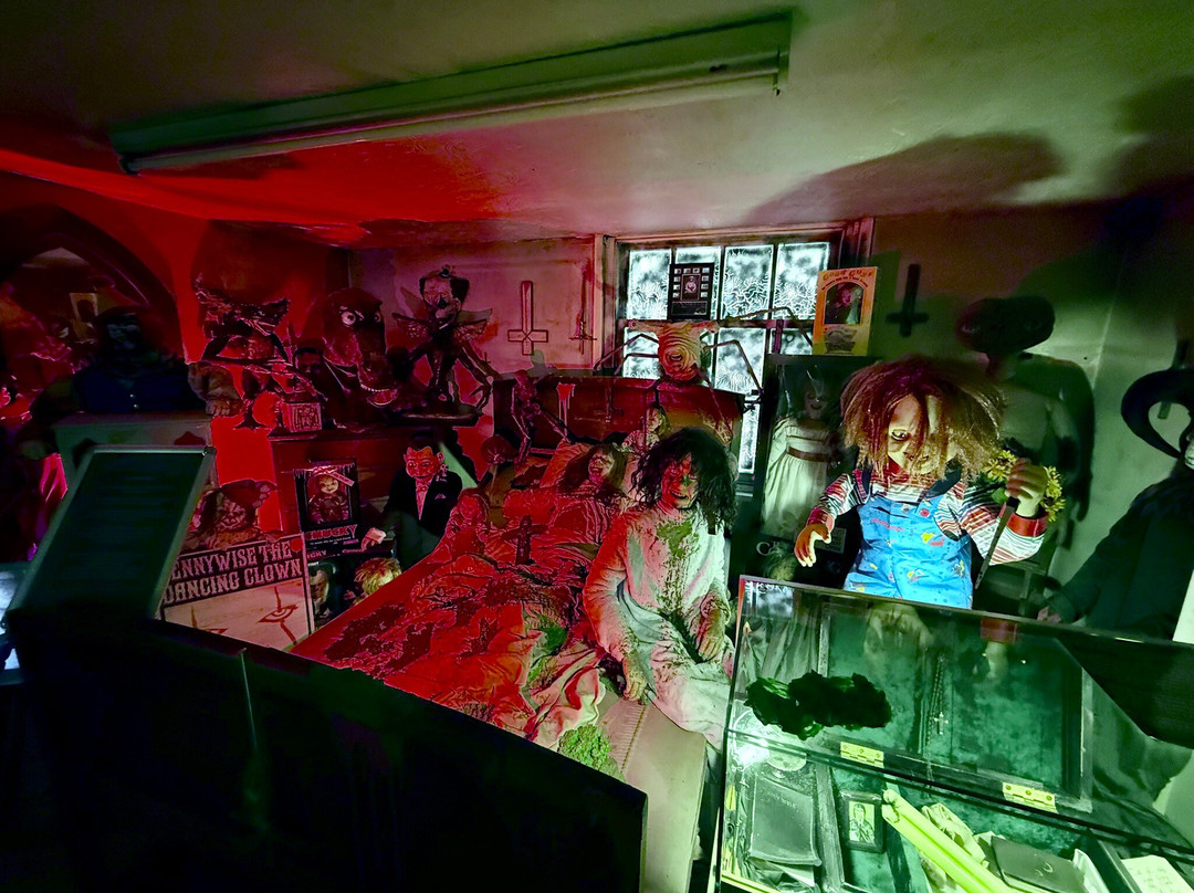 The Museum Of Curiosities-诺丁汉必去景点