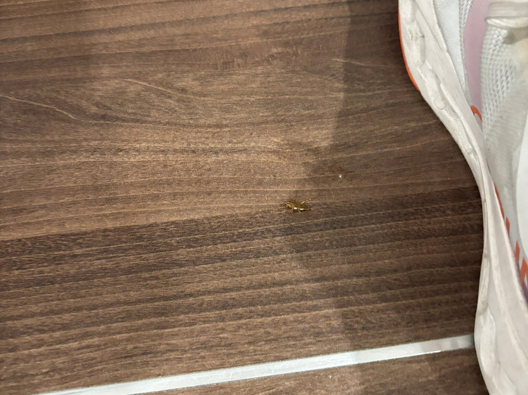 Hillary Hanoi Hotel主图