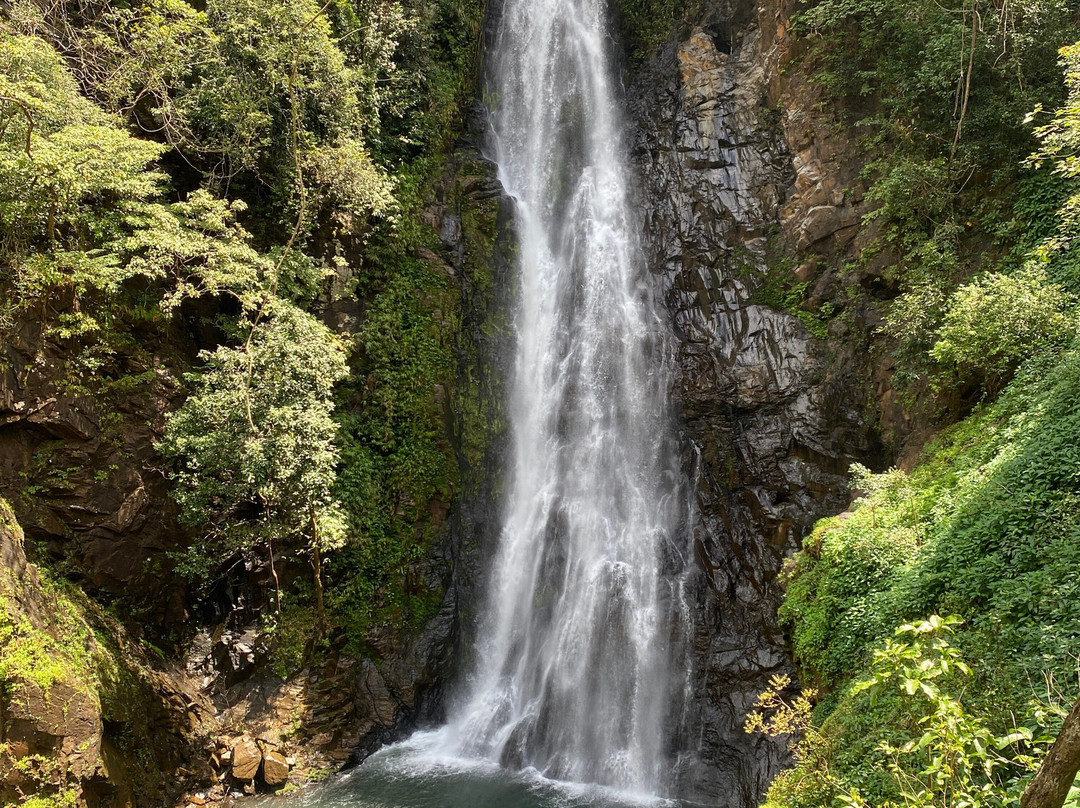 Netravali Wildlife Sanctuary-Netravali必去景点