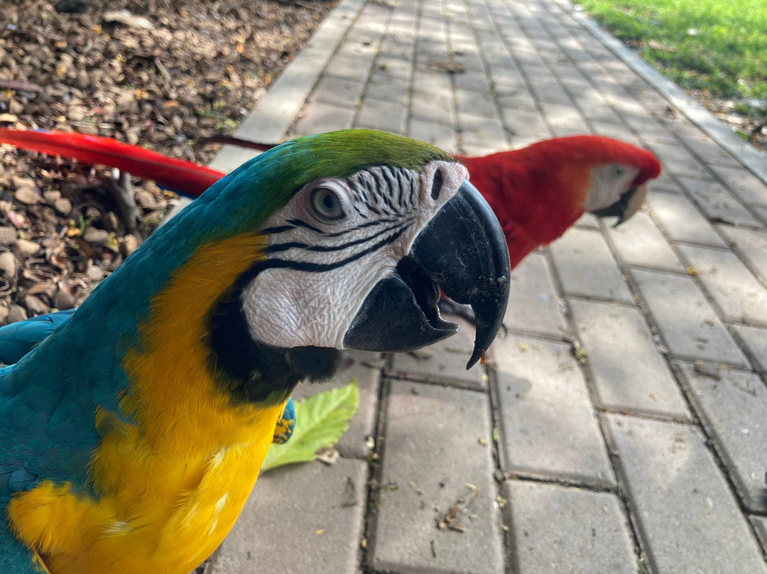 GREEN HOUSE TAMBOPATA-Filadelfia必去景点
