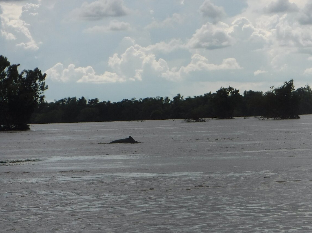 Sorya Kayaking Adventures-Kratie必去景点