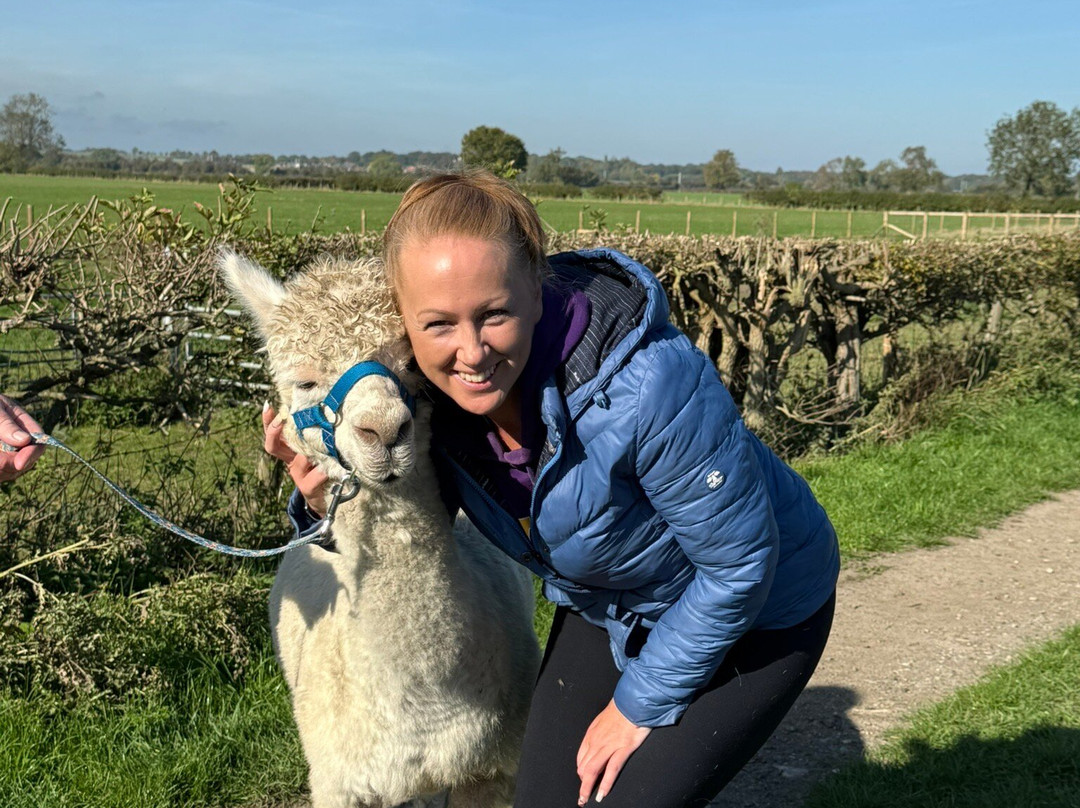 Elmet Alpaca Trekking and Tearoom-Sherburn in Elmet必去景点