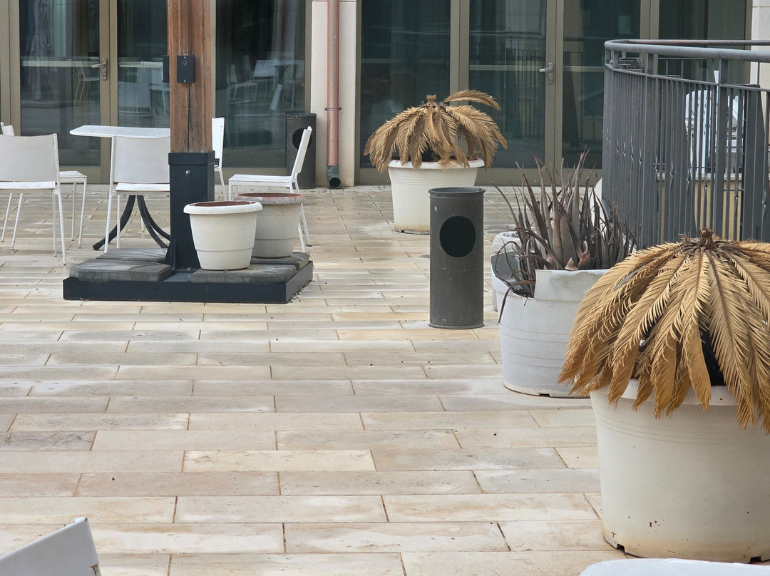 Park Hotel Elizabeth主图