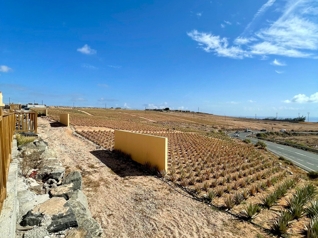 Finca Canarias Aloe Vera-特尔德必去景点