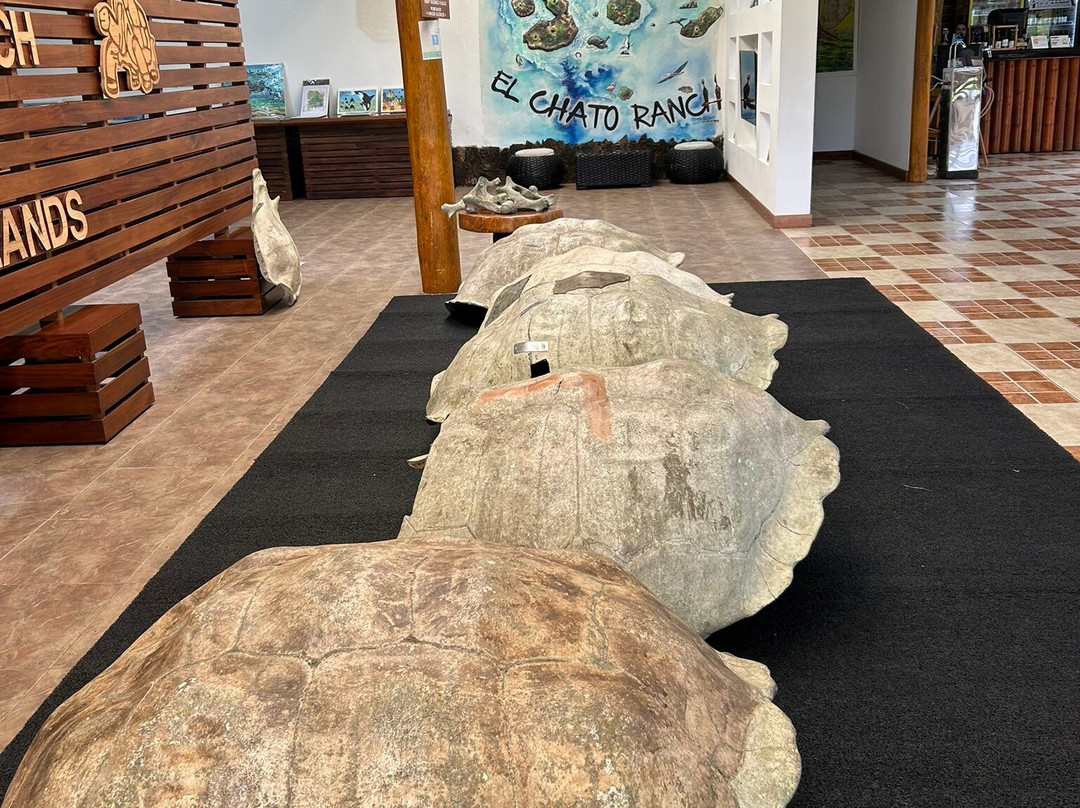 Reserva El Chato-阿约拉港必去景点