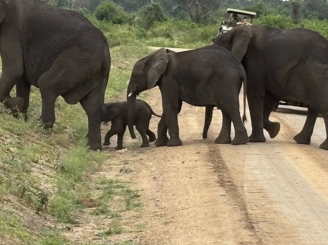 Trek Africa Expeditions-Lyamutundwe必去景点