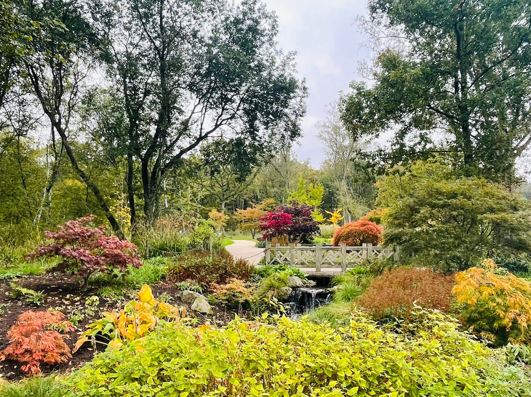 RHS Garden Bridgewater